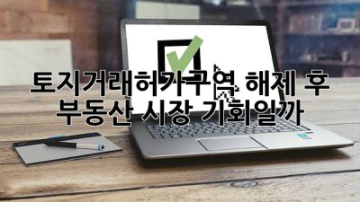 토지거래허가구역 해제 후 부동산 시장, 기회일까? 🤔