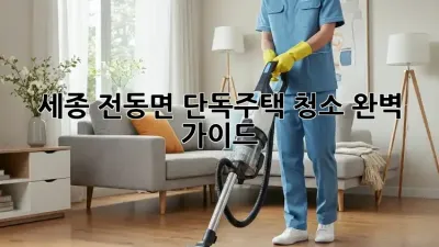 세종 전동면 단독주택 청소 완벽 가이드