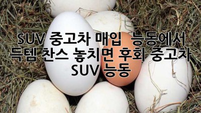 SUV 중고차 매입 🚗💨 능동에서 득템 찬스! 놓치면 후회?! #중고차 #SUV #능동